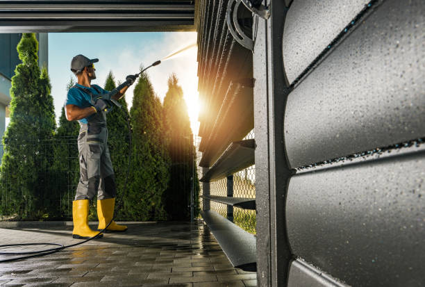 Best Roof Pressure Washing  in Sardinia, OH