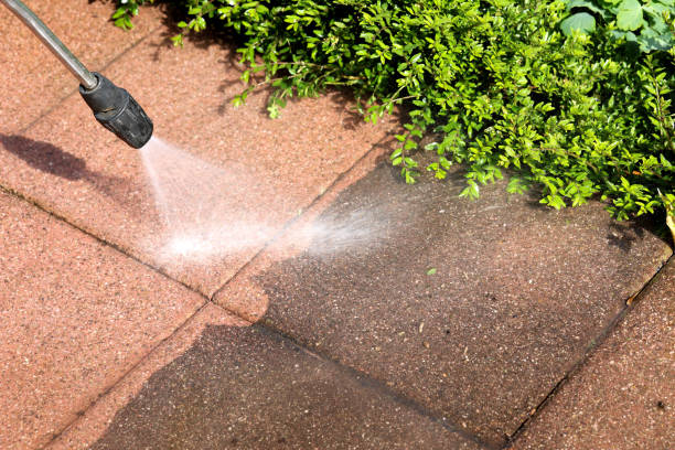 Best Pressure Washing Near Me  in Sardinia, OH
